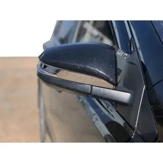 Mirror Covers (2 pcs, Stainless Steel)