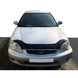 Hood Deflector (EuroCap) photo 1