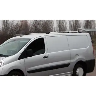 Chrome Roof Rails