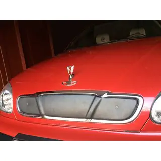 Winter grille cover (upper)
