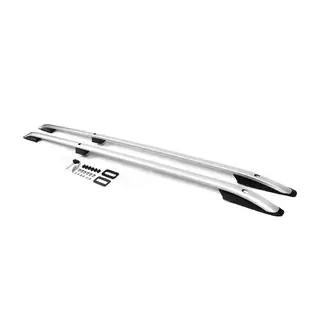 Roof Rails Skyport (silver)