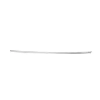 Chrome trim above license plate (stainless steel) photo 3
