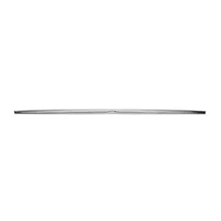 Chrome trim above license plate (stainless steel) photo 3