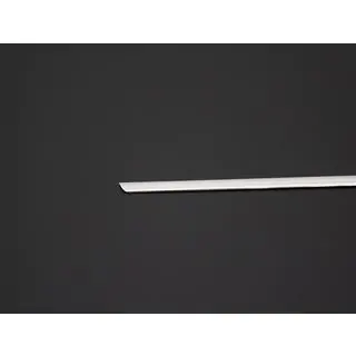 Chrome trim above license plate OmsaLine (stainless steel) photo 3