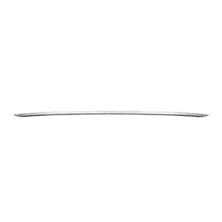 Chrome trim above license plate (SW, stainless steel) photo 2