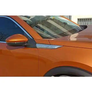 Stainless Steel Fender Trim (2 pcs) photo 1