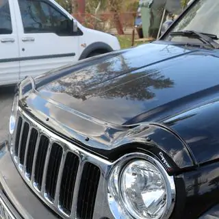 Hood Deflector (EuroCap) photo 1