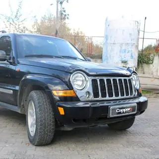 Hood Deflector (EuroCap) photo 3