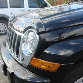 Hood Deflector (EuroCap) photo 4