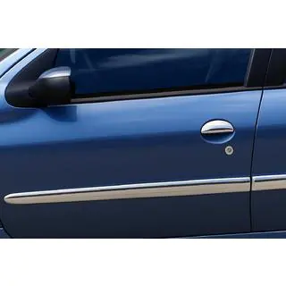 Door Mouldings Stainless Steel (4 pcs) photo 1