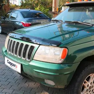 Hood Deflector (EuroCap) photo 1