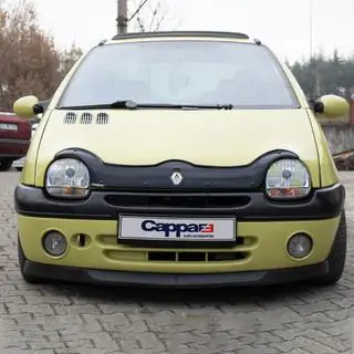 Hood Deflector (EuroCap) photo 1