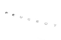 Peugeot Partner 1996-2008 Peugeot emblem lettering (630mm x 25mm) photo 2
