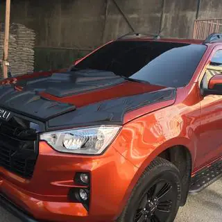 Hood Scoop Cover (ABS) photo 1