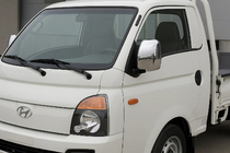 Hyundai Porter 2004- Mirror Covers (2 pcs, Plastic) photo 1
