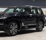 Lexus LX 500d/600 2022- Black Door Moldings F-Sport white+black (4 pcs, ABS) photo 4