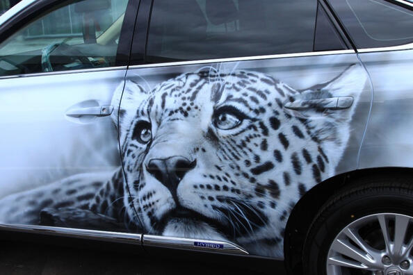 Aerography as a type of car tuning