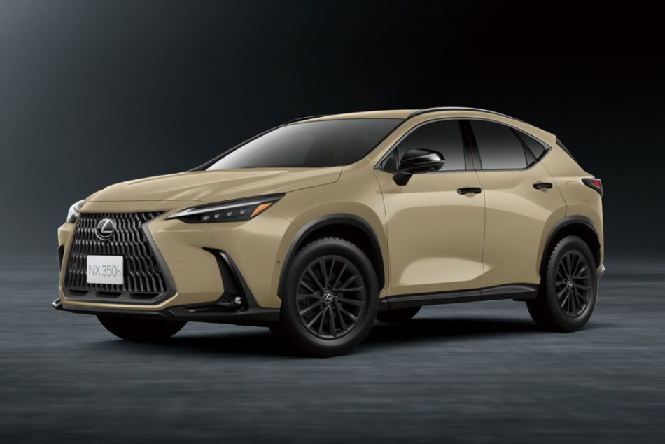 Lexus NX Overtrail: modification for light off-road