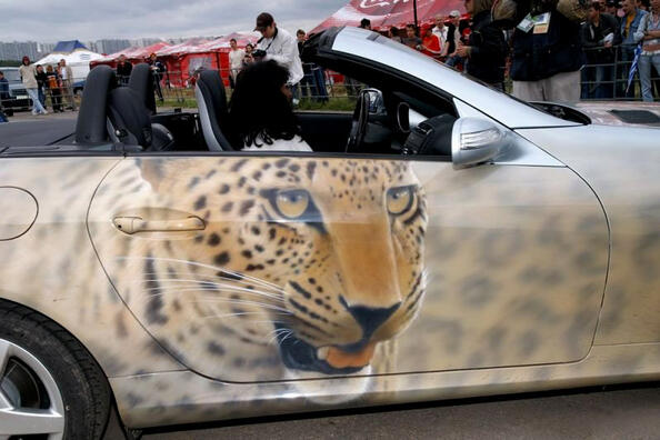 Vinylography or airbrushing of a car: which is better? Photo 3