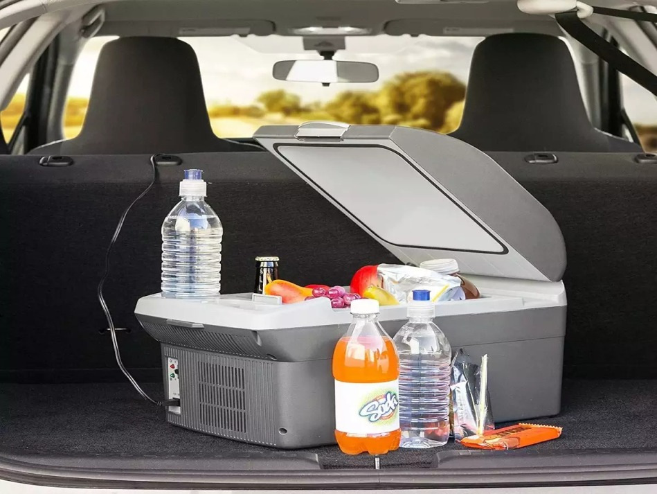 How to choose a car refrigerator: important criteria and recommendations