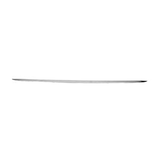 Trunk Trim Stainless Steel photo 3