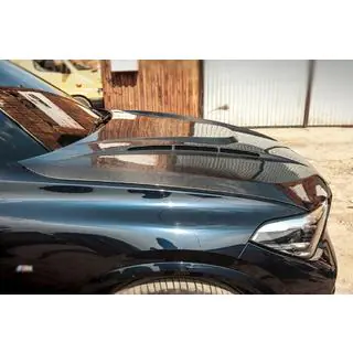 Carbon Hood V1 (G05/F95) photo 3
