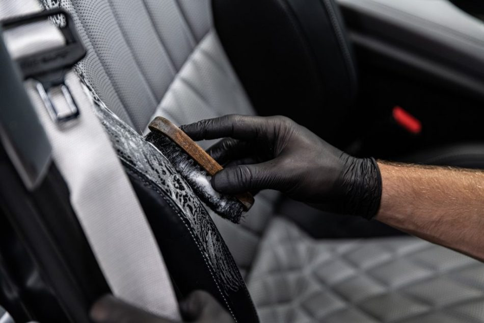 How to get rid of mold in the car interior?