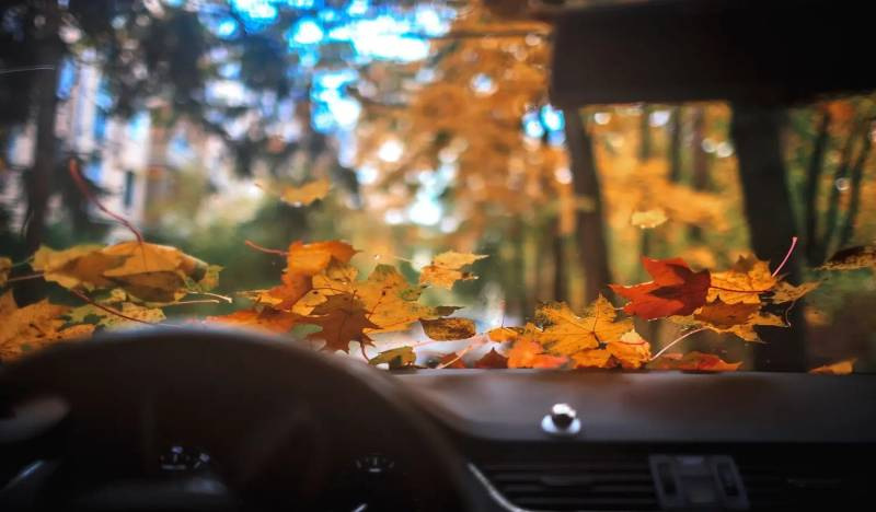 How to prepare your car for autumn