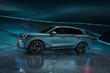 Cupra Terramar 2024: review of the new crossover photo 3