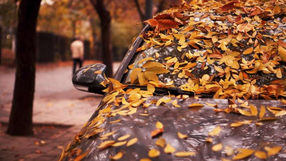 How to take care of a car in autumn?