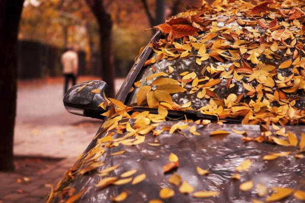 How to take care of a car in autumn?