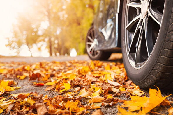 Which tires are best for fall?