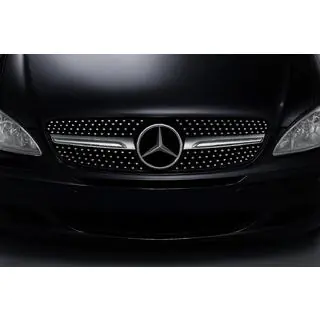 Front Grille Diamond Silver (2004-2010) Mercedes Vito W639 2004-2014 photo 2