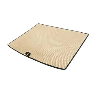 EVA Trunk Mat (for BYD Song Plus EV, Beige) photo 2