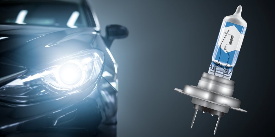 Which bulbs to choose for a car: we understand the variety