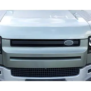 Grille Insert photo 2