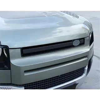 Grille Insert photo 4