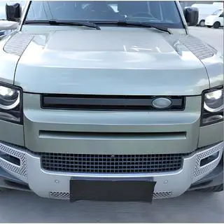 Grille Insert photo 1