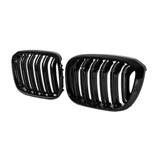 Kidneys M-Look (Gloss Black) photo 4