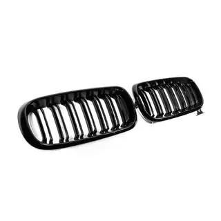 Kidneys M-Look (Gloss Black) photo 4