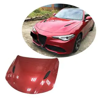 Hood V2 (Carbon) photo 1