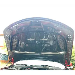Hood V2 (Carbon) photo 2