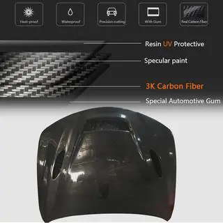 Hood V1 (Carbon) photo 4