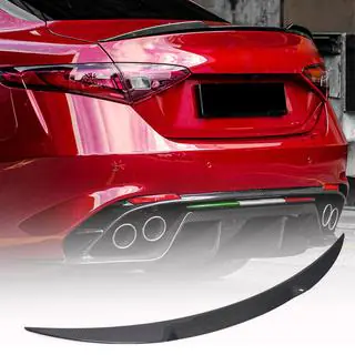 Spoiler V5 (Dry Carbon) photo 1