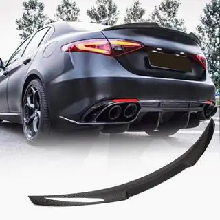 Spoiler V6 (Carbon) photo 1