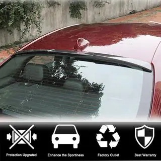 Spoiler V1 (Carbon) photo 3