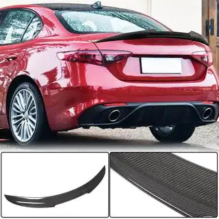 Spoiler V4 (Carbon) photo 2