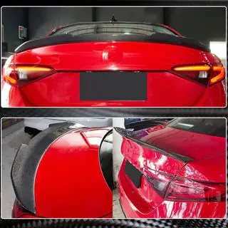 Spoiler V4 (Carbon) photo 4