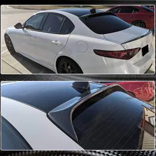 Spoiler V2 (Carbon) photo 2