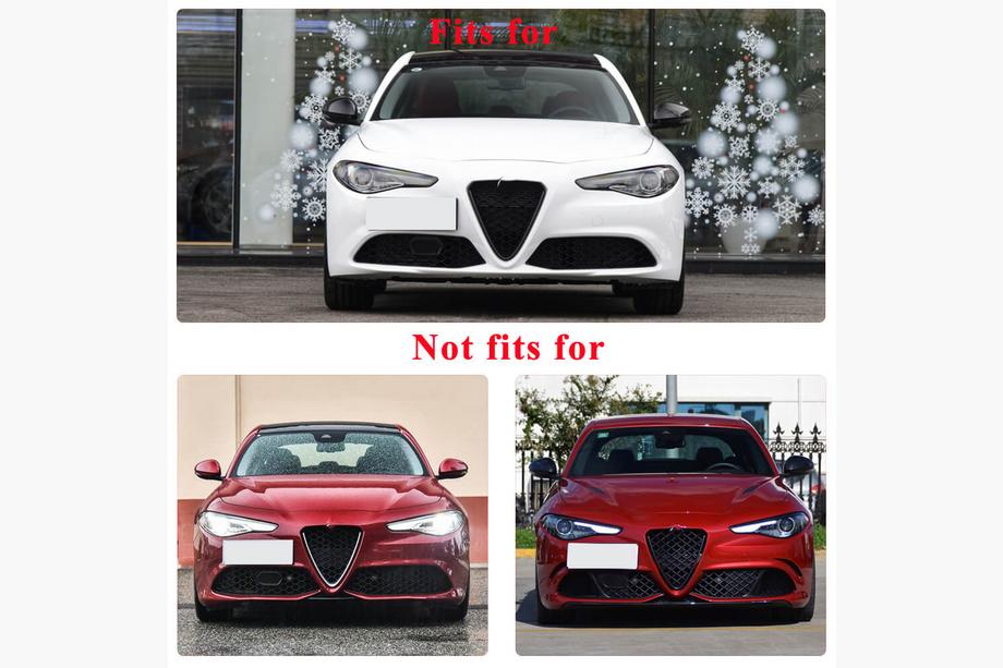 Alfa Romeo Giulia 2016-2022 Grille Cover (for Base, Dry Carbon) Photo 6